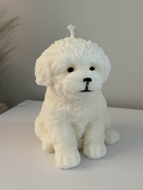 Świeca Puppy