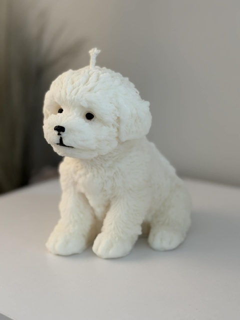 Świeca Puppy