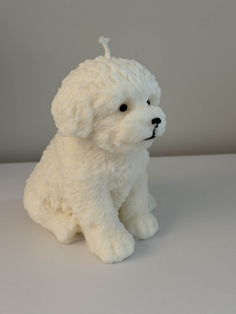 Świeca Puppy