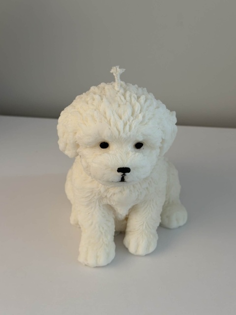 Świeca Puppy