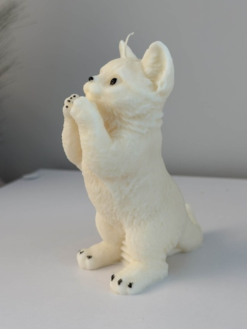 Świeca Kitty